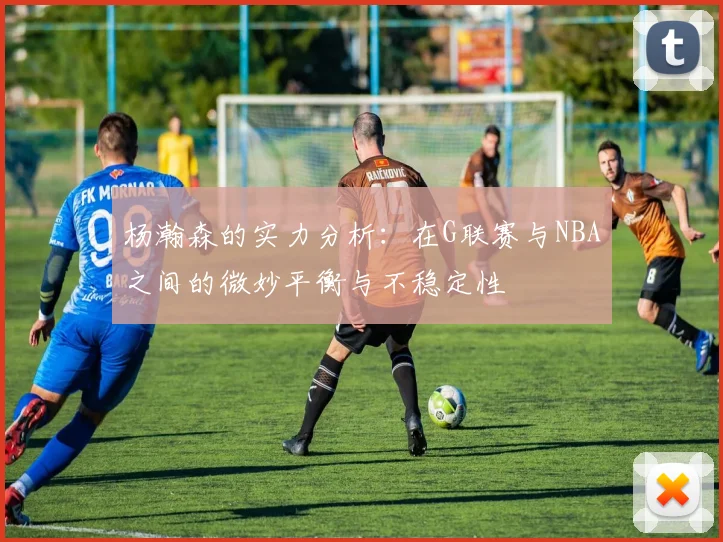杨瀚森的实力分析：在G联赛与NBA之间的微妙平衡与不稳定性